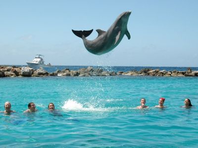 Karibik_Curacao_Dolphin Suites_09